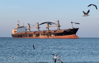 新增公廁！布魯維斯號周邊配套設(shè)施上新